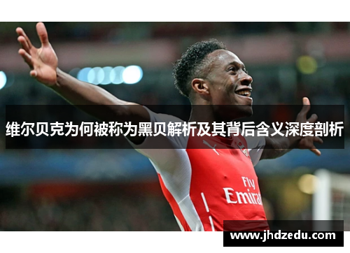 维尔贝克为何被称为黑贝解析及其背后含义深度剖析